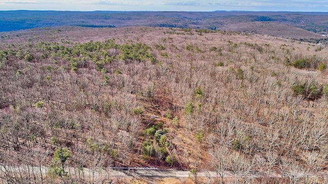 LOT1 Zane Grey Way, Barryville, NY 12719 - photo 9