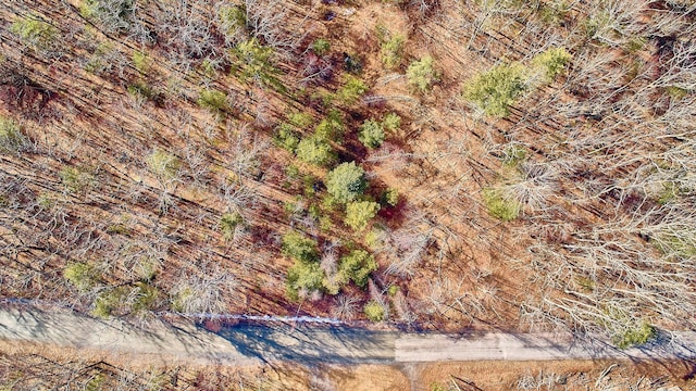 LOT1 Zane Grey Way, Barryville, NY 12719 - photo 10