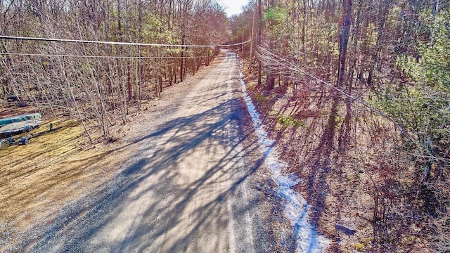 LOT1 Zane Grey Way, Barryville, NY 12719 - photo 12