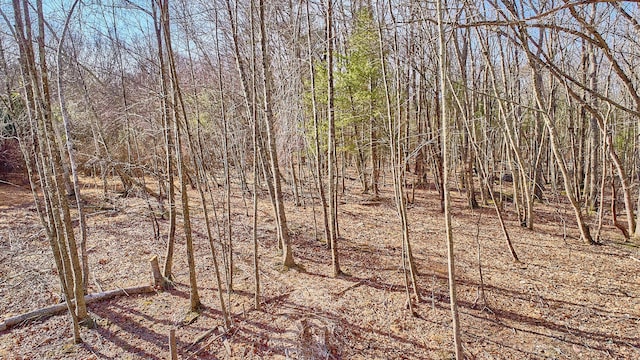 LOT1 Zane Grey Way, Barryville, NY 12719 - photo 13