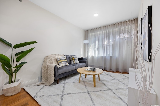 living room featuring baseboards and wood finished floors