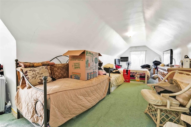 183-65 Elmira Ave, Saint Albans, NY 11412 - carpeted bedroom with vaulted ceiling