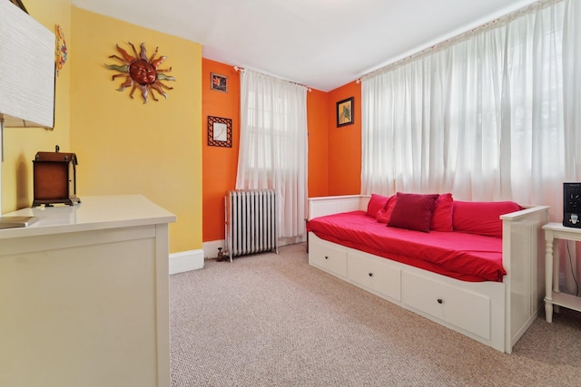 227 Valentine Ln, Yonkers, NY 10705 - bedroom with radiator and light carpet
