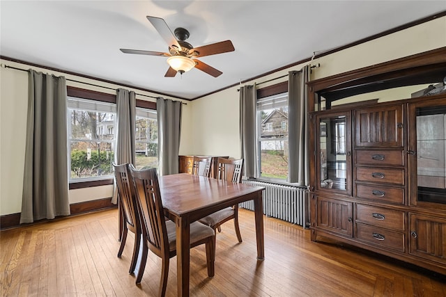 dining room featuring baseboards, ceiling fan, crown molding, radiator heating unit, and light wood-style flooring