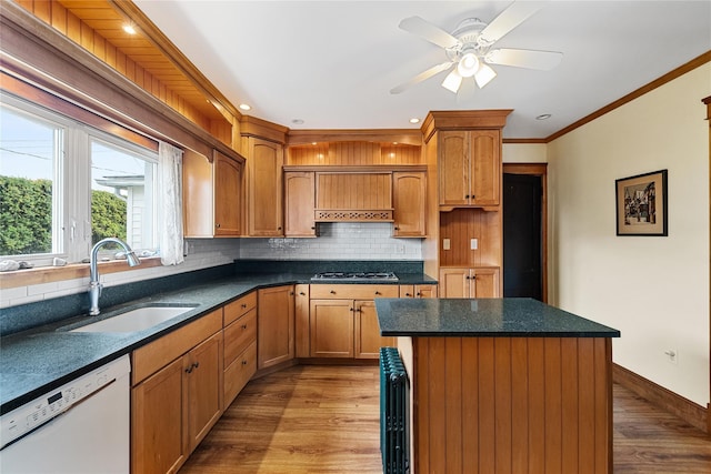 kitchen with tasteful backsplash, wood finished floors, a sink, and white dishwasher
