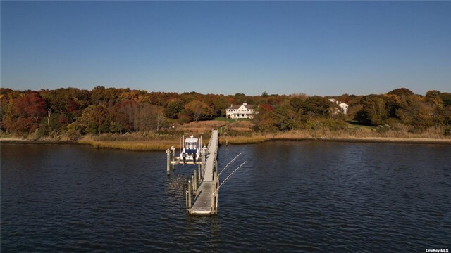22 Old Neck Rd S, Center Moriches, NY 11934 - photo 39