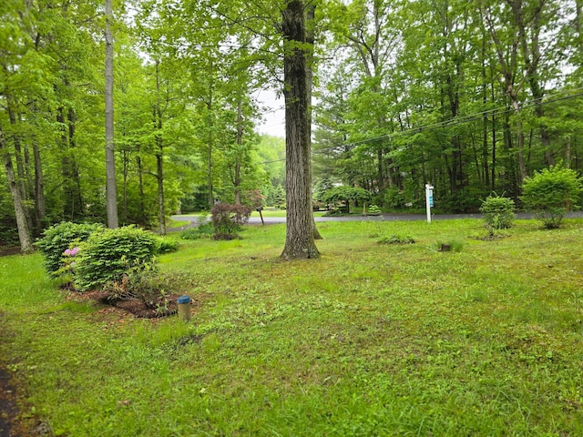 51 Glenerie Ln, Saugerties, NY 12477 - view of yard