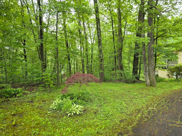 51 Glenerie Ln, Saugerties, NY 12477 - view of yard