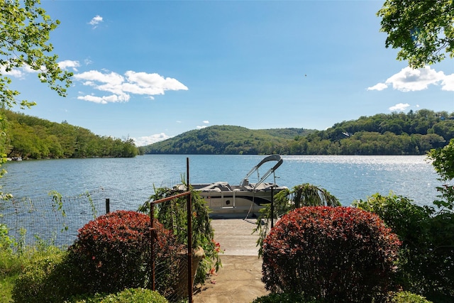 193 Tuxedo Rd, Tuxedo Park, NY 10987 - photo 6