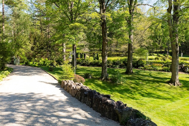 193 Tuxedo Rd, Tuxedo Park, NY 10987 - photo 43
