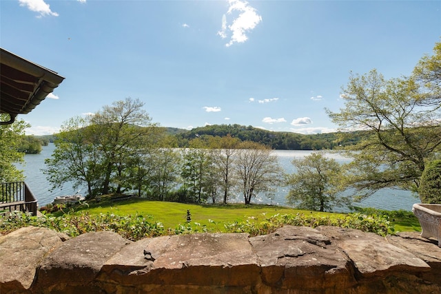 193 Tuxedo Rd, Tuxedo Park, NY 10987 - photo 45