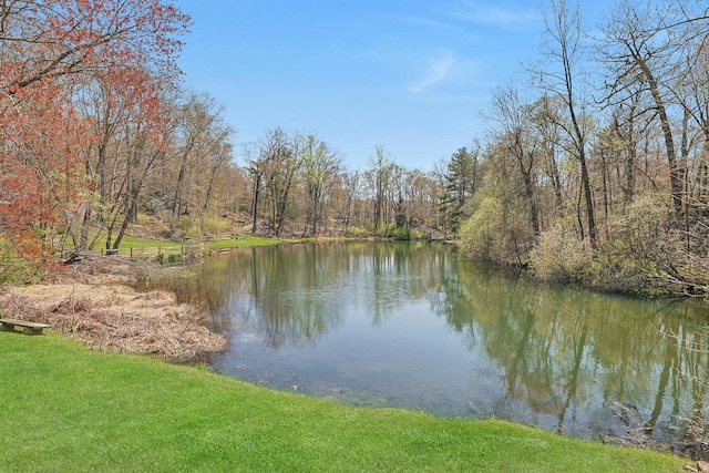 property view of water