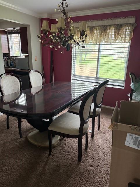 carpeted dining room with a chandelier and crown molding