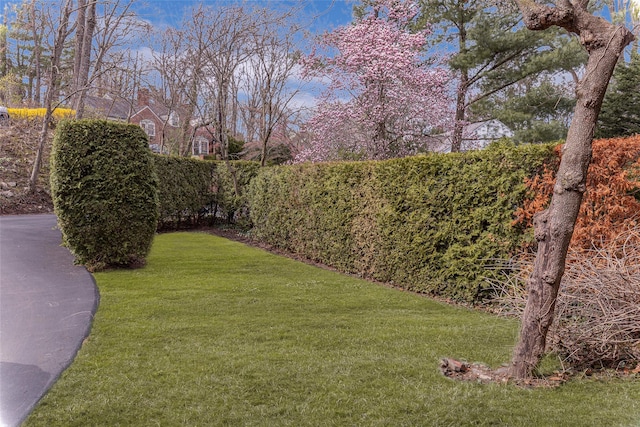view of yard