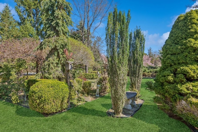 495 Knollwood Ln, Mattituck, NY 11952 - surrounding community featuring a lawn