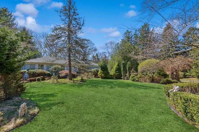 495 Knollwood Ln, Mattituck, NY 11952 - view of yard