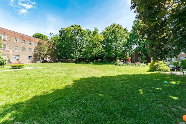 78-05 Park Dr E Unit 4B, Kew Garden Hills, NY 11367 - view of green lawn
