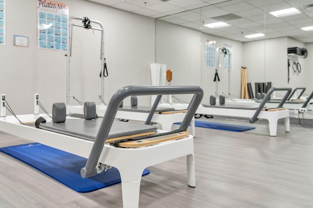 gym featuring wood finished floors and a paneled ceiling