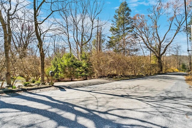 65 Hickory Ln, Bedford, NY 10506 - view of street