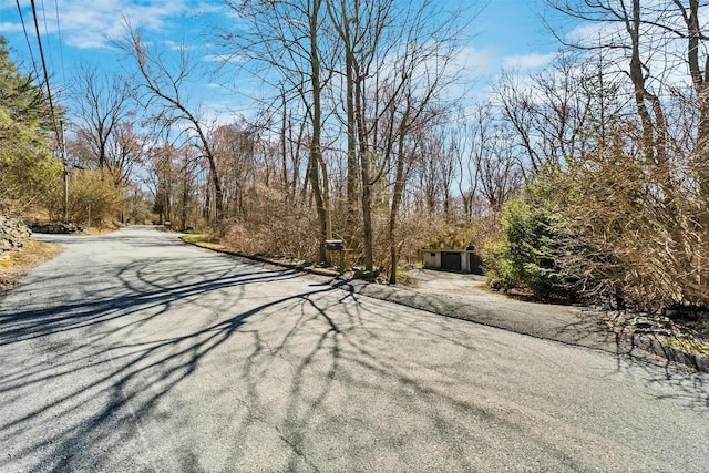 65 Hickory Ln, Bedford, NY 10506 - view of road