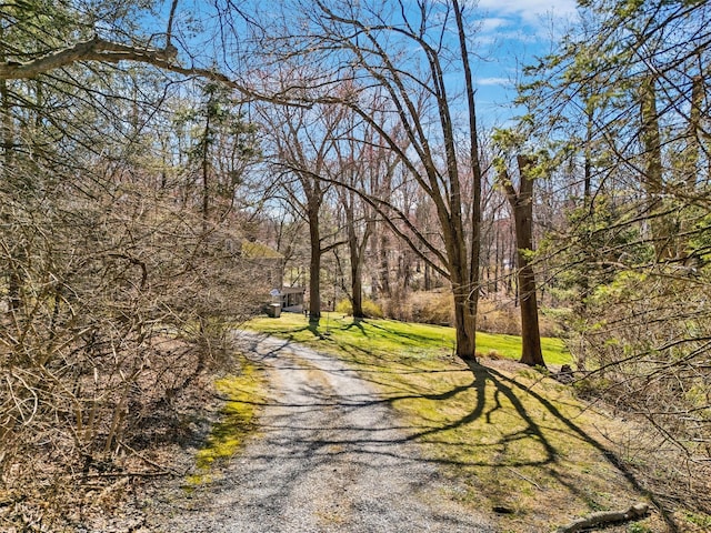 65 Hickory Ln, Bedford, NY 10506 - view of street featuring gravel driveway