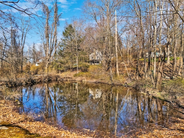 65 Hickory Ln, Bedford, NY 10506 - property view of water