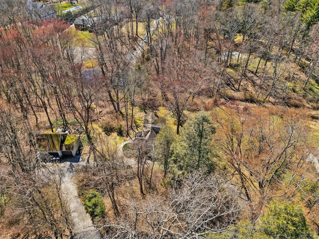 65 Hickory Ln, Bedford, NY 10506 - aerial view