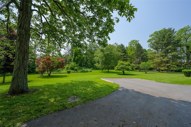 126-128 Christian Hill Rd, Dover Plains, NY 12522 - view of community with a lawn and view of wooded area
