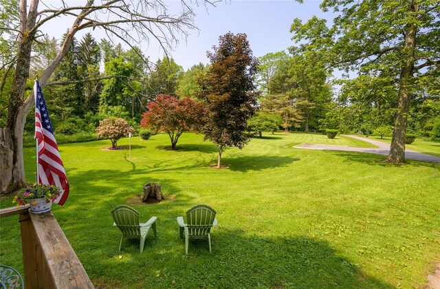 126-128 Christian Hill Rd, Dover Plains, NY 12522 - view of green lawn