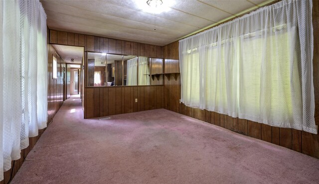 126-128 Christian Hill Rd, Dover Plains, NY 12522 - carpeted empty room featuring wood walls
