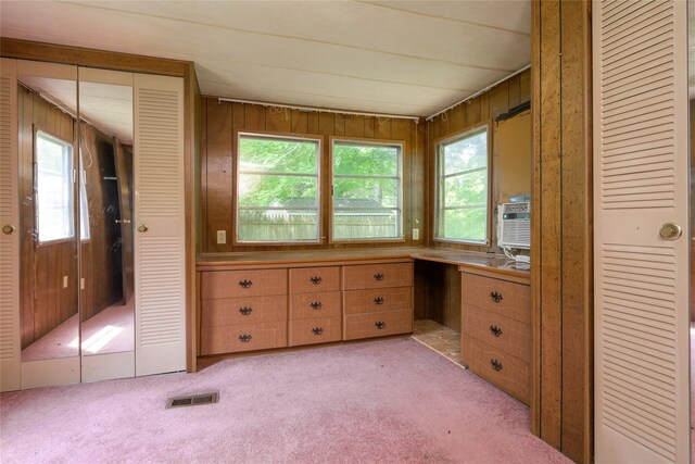 126-128 Christian Hill Rd, Dover Plains, NY 12522 - unfurnished office with light colored carpet and wooden walls