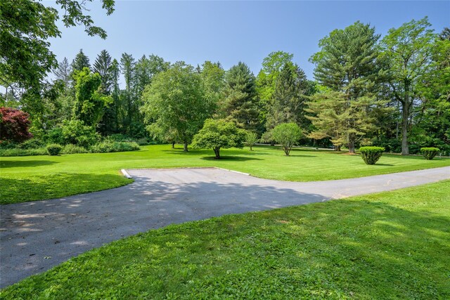 126-128 Christian Hill Rd, Dover Plains, NY 12522 - surrounding community featuring a lawn and view of wooded area