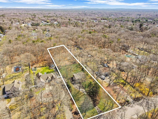 drone / aerial view