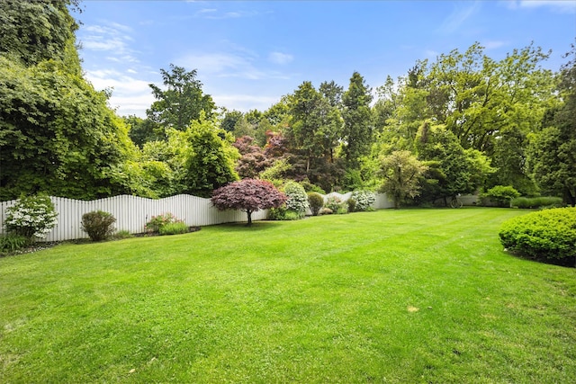 view of yard featuring a fenced backyard