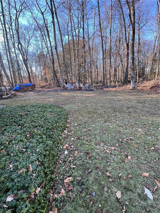 view of yard featuring a view of trees