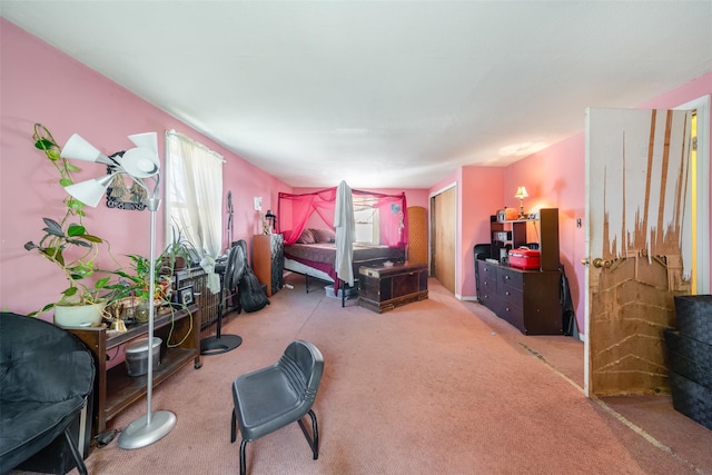 bedroom with a closet and carpet