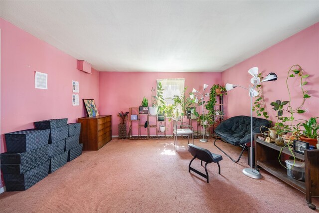 sitting room featuring carpet floors