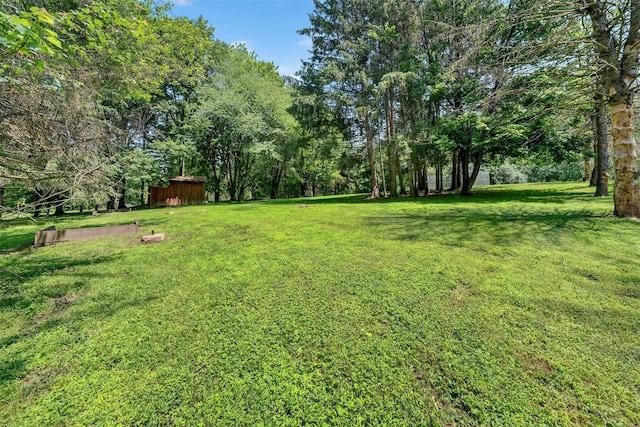 21 Hillside Rd, Slate Hill, NY 10973 - view of green lawn