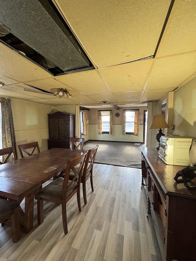 10 N Franklin St, Athens, NY 12015 - dining room featuring a drop ceiling and light wood-style flooring