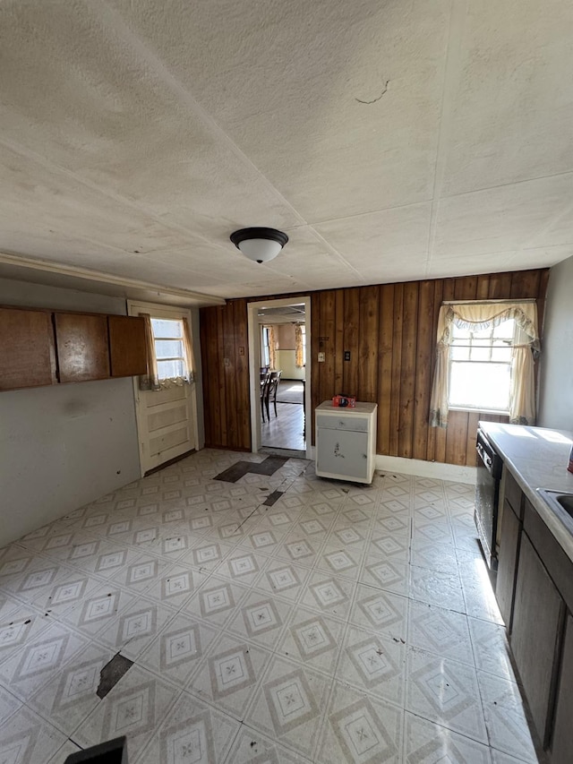 10 N Franklin St, Athens, NY 12015 - kitchen with light countertops, wood walls, light floors, and a textured ceiling