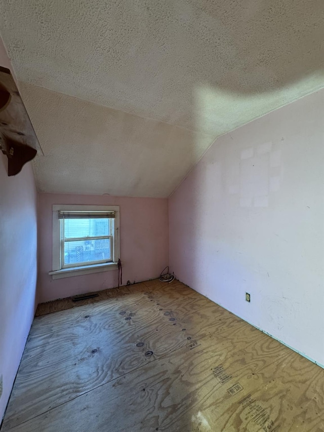 10 N Franklin St, Athens, NY 12015 - additional living space featuring lofted ceiling and a textured ceiling
