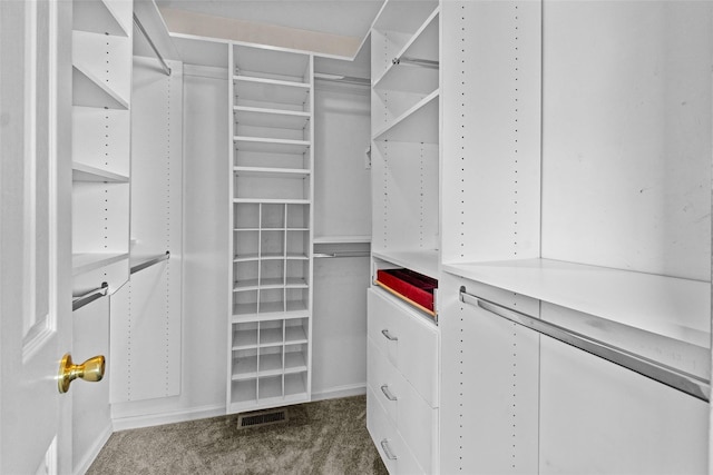 5702 Manor Dr Unit 5702, Peekskill, NY 10566 - walk in closet featuring dark colored carpet