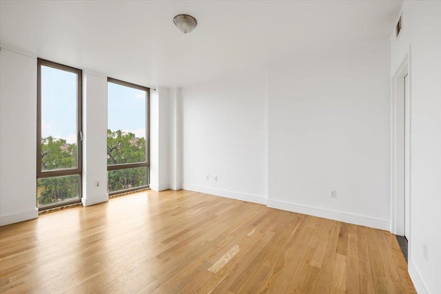 412 Kings Hwy Unit 6C, Brooklyn, NY 11223 - spare room with light wood-style floors, expansive windows, and baseboards