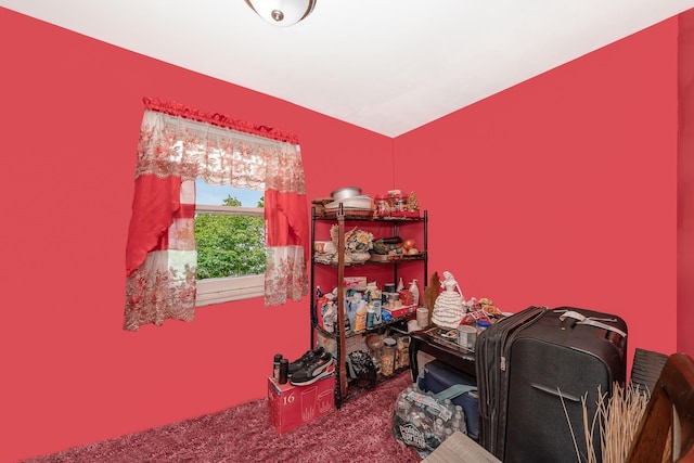 view of carpeted office space