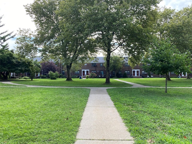 view of community with a lawn