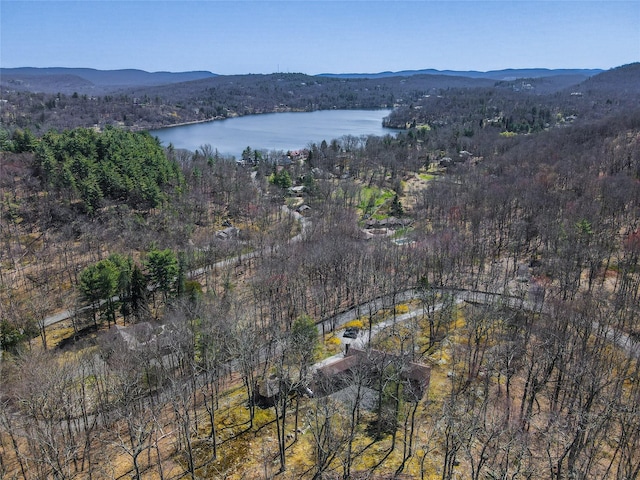 92 Mountain Farm Rd, Tuxedo Park, NY 10987 - photo 8