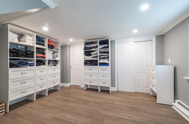645 Hawkins Blvd, Copiague, NY 11726 - walk in closet featuring dark wood-style flooring and baseboard heating