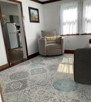 12 Bluebird Dr, Lake Luzerne, NY 12846 - living area featuring baseboards