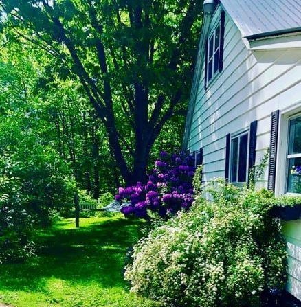 12 Bluebird Dr, Lake Luzerne, NY 12846 - view of side of property featuring a yard and a metal roof