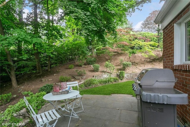 30 Appleton Pl, Dobbs Ferry, NY 10522 - view of patio / terrace featuring a grill